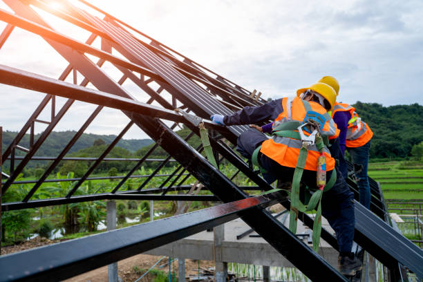 Best Metal Roofing Contractor  in Northdale, FL